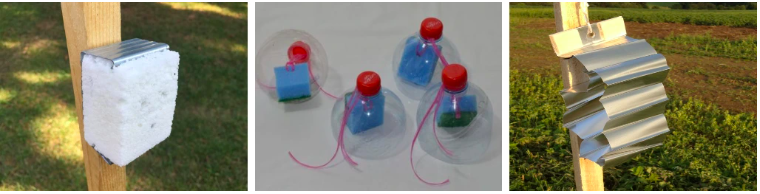 Snímka obrazovky 2025-07-10 o 12.01.05